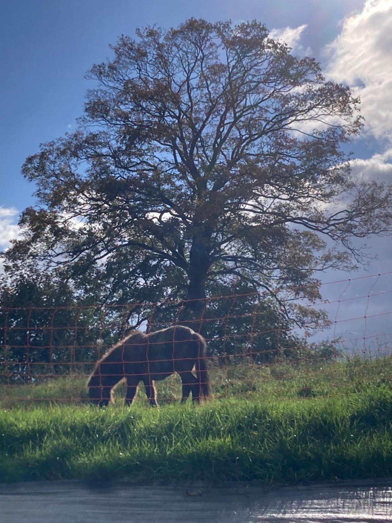 スパ O Secret Du Werihay Bed & Breakfast エクステリア 写真